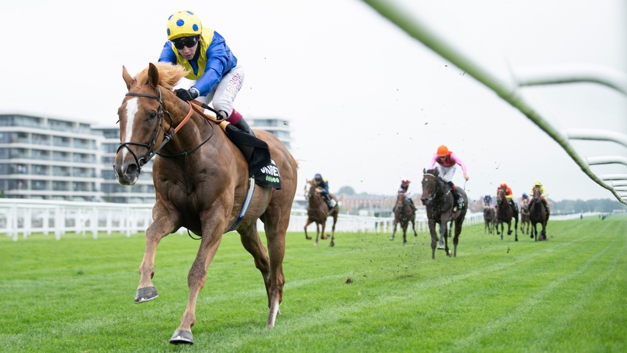 Preview: Gr.1 Diamond Jubliee Stakes 2021 (Preview, Full ... Image 4